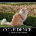 What Is Confidence?